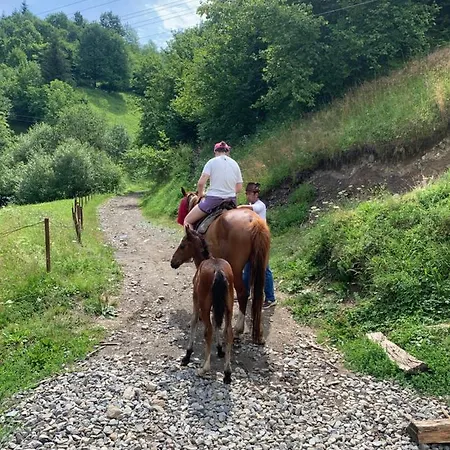 Holiday home Vip-domyk