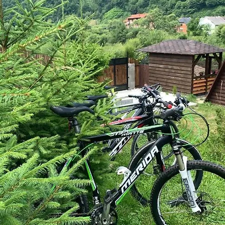 Vip-domyk Сasa de vacaciones Rakhiv